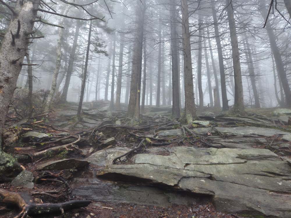 Pack Attack: A Mother's Day Hike Up Pack Monadnock - wandering matt